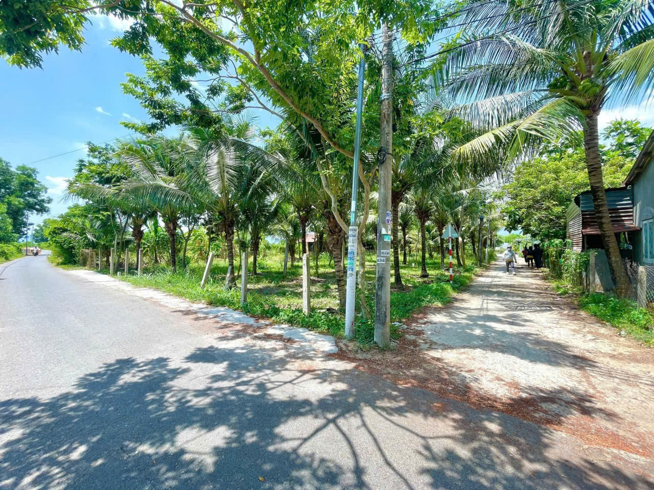 Bán Đất Diên Phước Diên Khánh 128,4m² – Ngang 5m – Giá Chỉ 750 Triệu